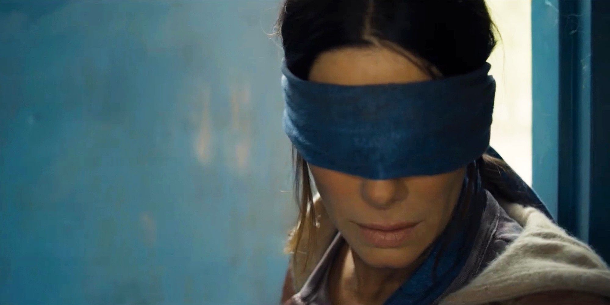 Bird Box: 20 Weird Details You Never Knew About The Creature