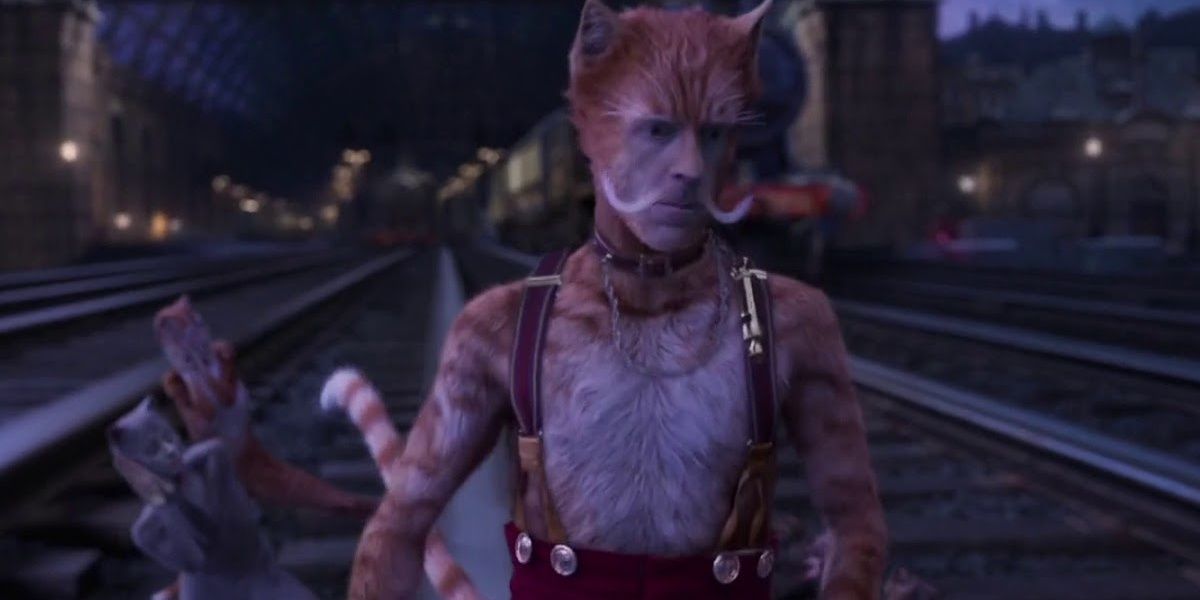 Cats Which Character Are You Based On Your Zodiac