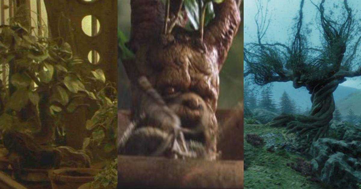 Harry Potter: The 15 Most Useful Plants In The Wizarding World