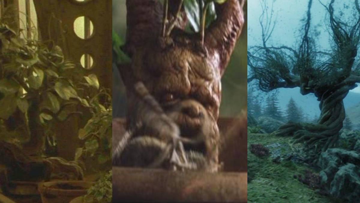 Harry Potter: The 15 Most Useful Plants In The Wizarding World