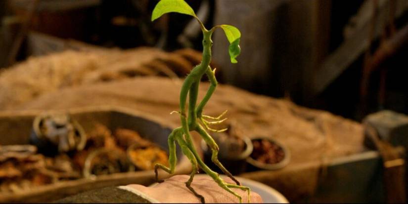 Harry Potter: The 15 Most Useful Plants In The Wizarding World