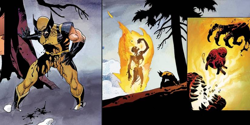 Distraught Wolverine When Wolverine Lost His Heart, He STILL Won The Fight