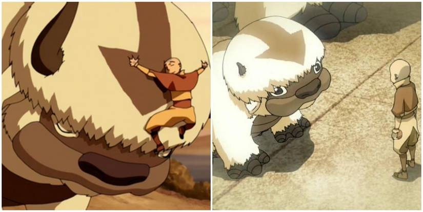 Avatar: The 10 Best Animal Companions, Ranked
