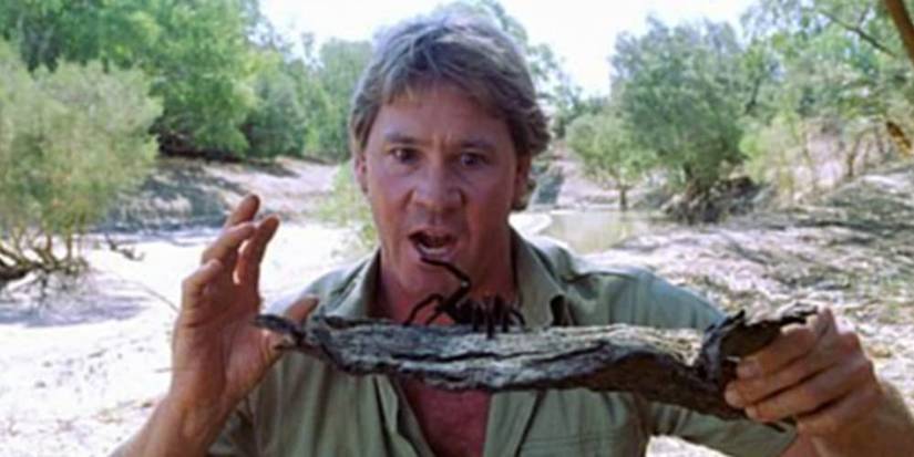 The Crocodile Hunter: 10 Quotes From Steve Irwin That Still Stick With Us