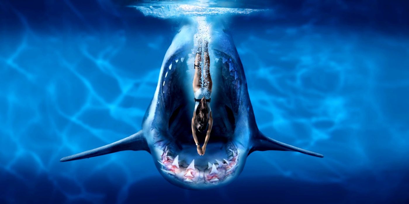 deep blue shark images