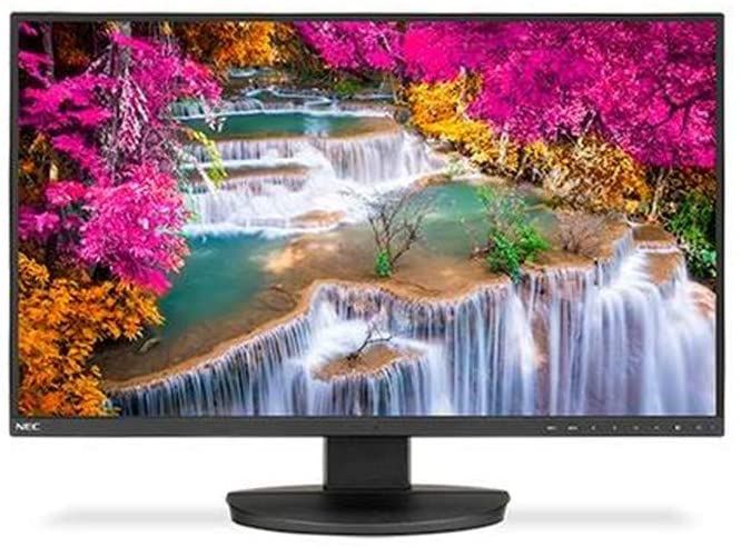 Best Monitors for Photo Editing (Updated 2021)