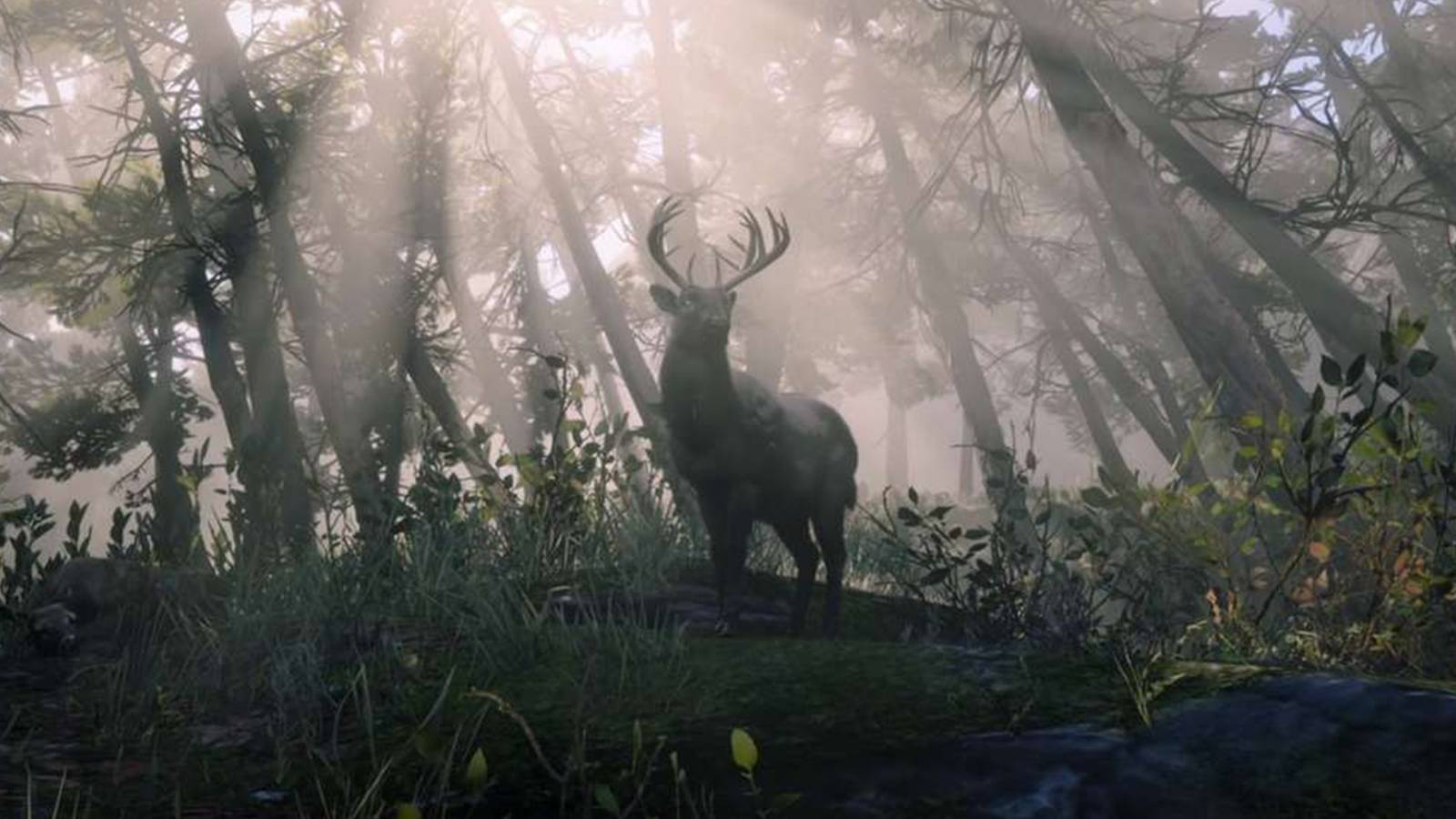 Where to Find The Legendary Shadow Buck Location in Red Dead Online