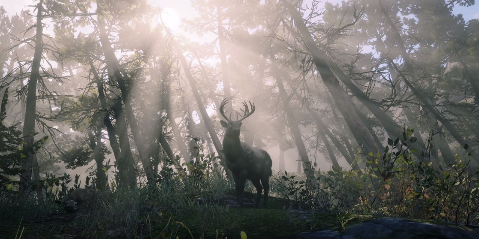All 40 Red Dead Online Legendary Animals (& Where To Find Them)