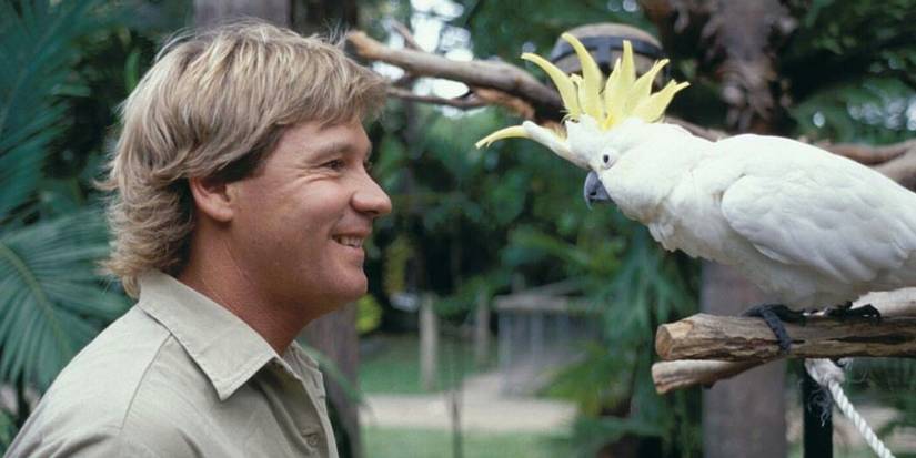 The Crocodile Hunter: 10 Quotes From Steve Irwin That Still Stick With Us