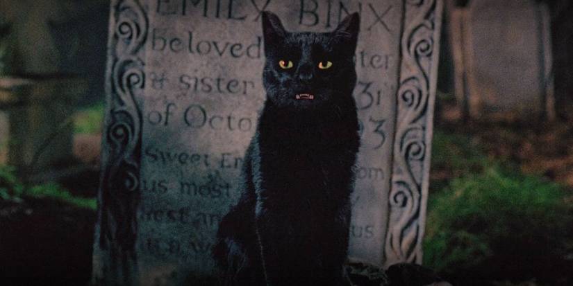 Hocus Pocus 2 With Original Witch Cast Is Happening