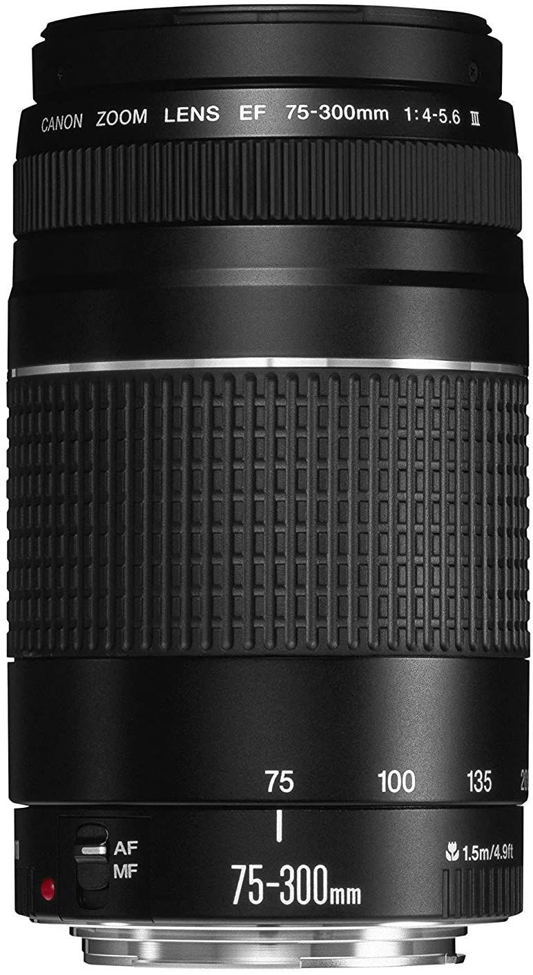 Canon EF 75-300mm f4-5.6 a