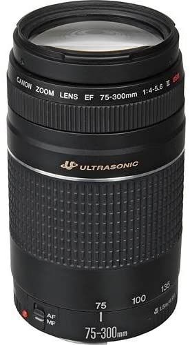 Canon EF 75-300mm f4-5.6 c