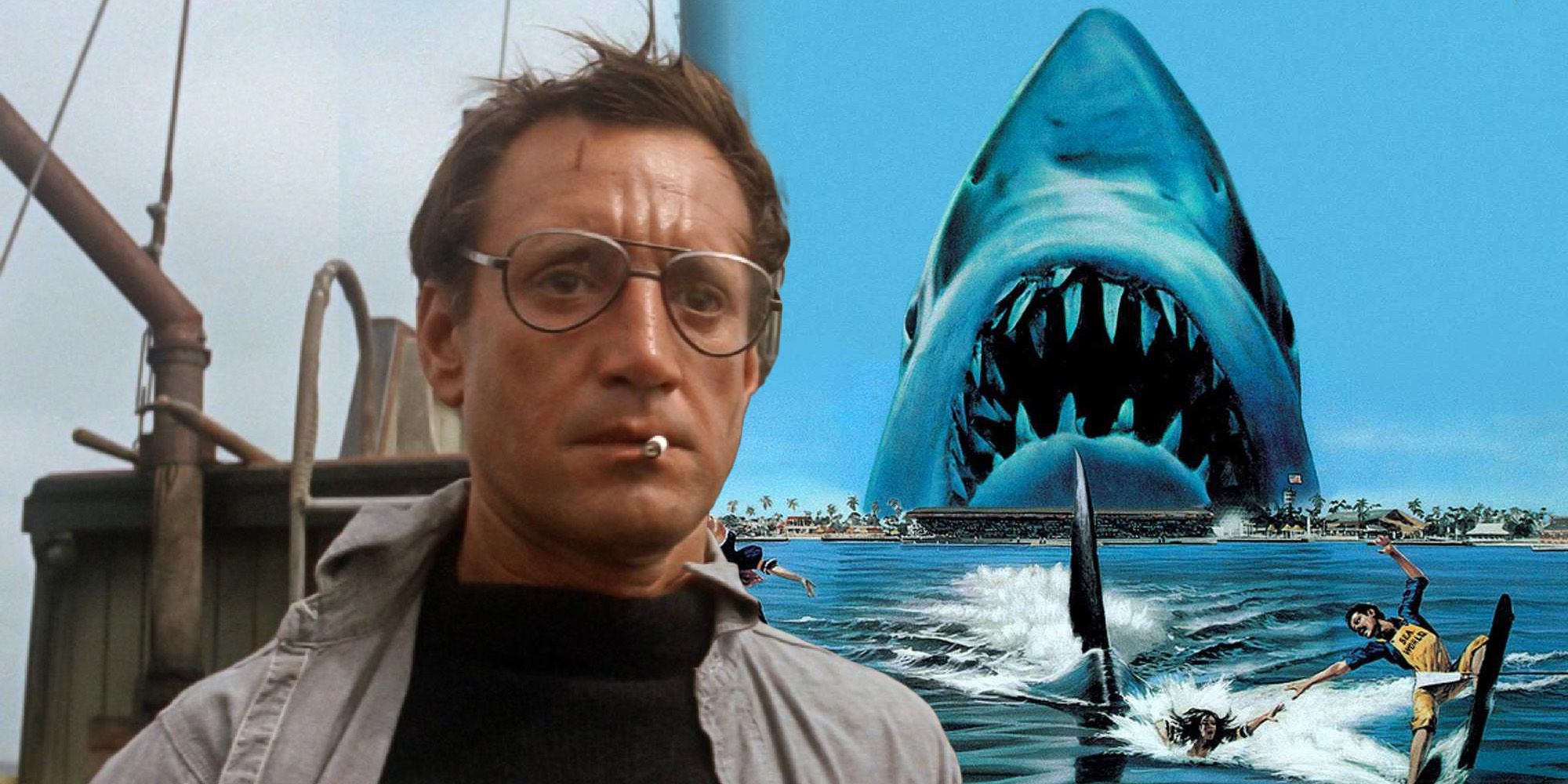Why Chief Brody Didnt Return for Jaws 3