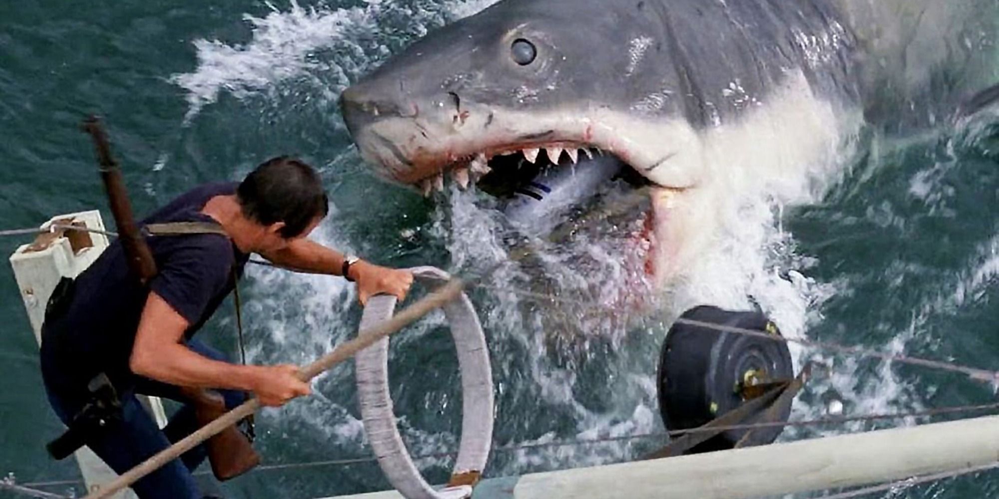 Jaws' Most Iconic Jump-Scare Proves Why It's Still One Of The Greatest Horror Movies