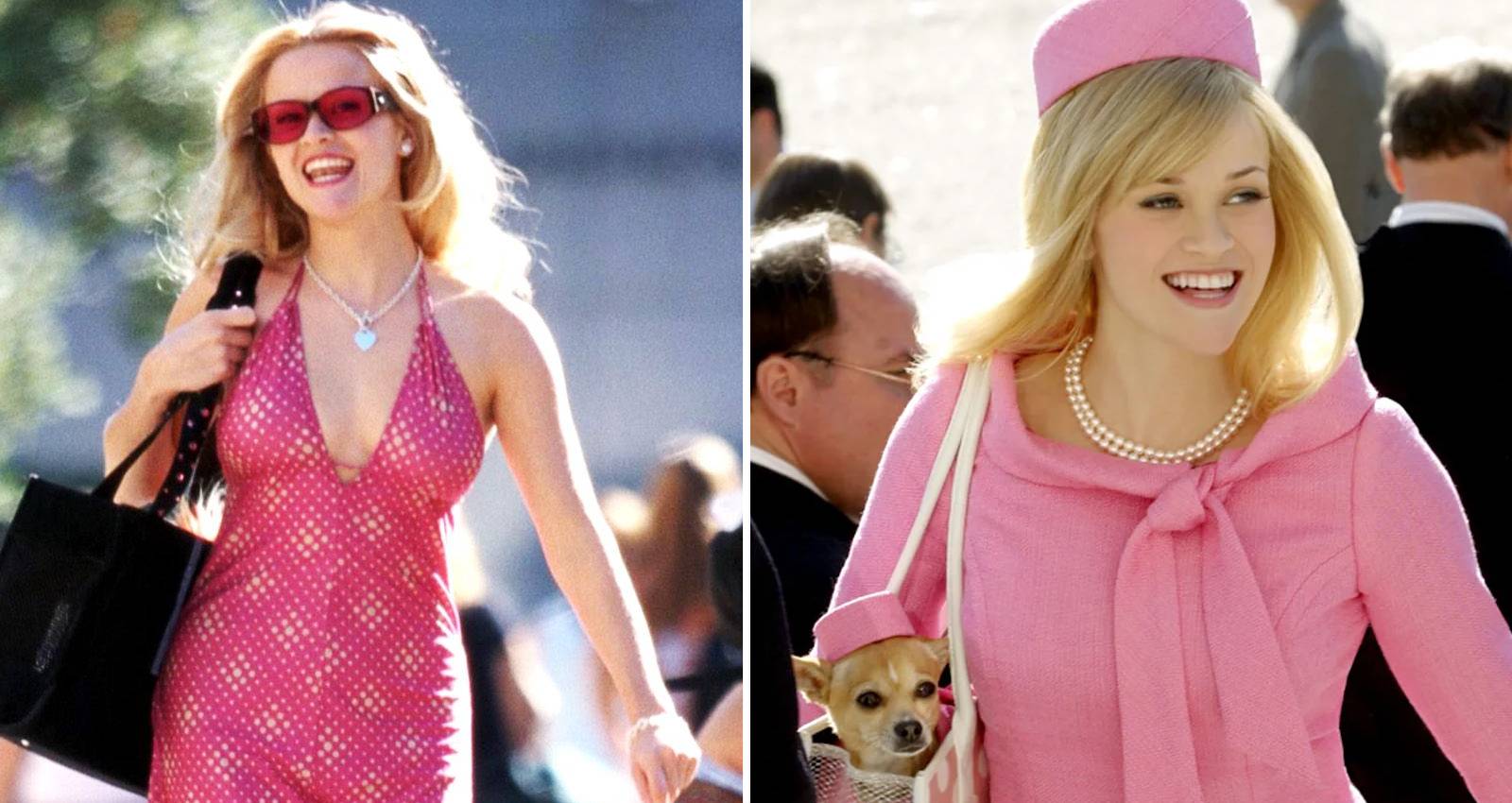 Legally Blonde: 10 Inspirational Quotes, Ranked, image size:1600x850
