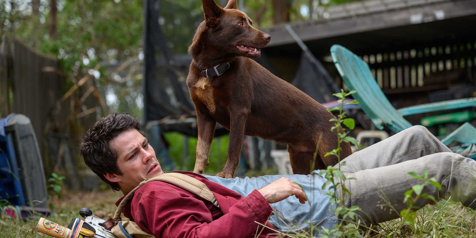 Dylan O'Brien deitado enquanto o cachorro Boy está em seu peito em Love and Monsters