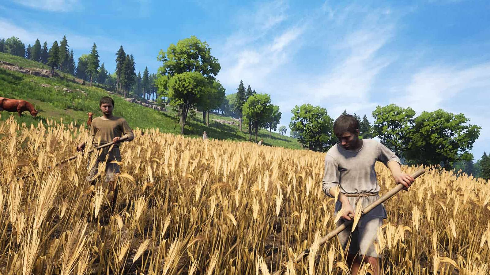 How to Get Straw in Medieval Dynasty (The Easy Way)