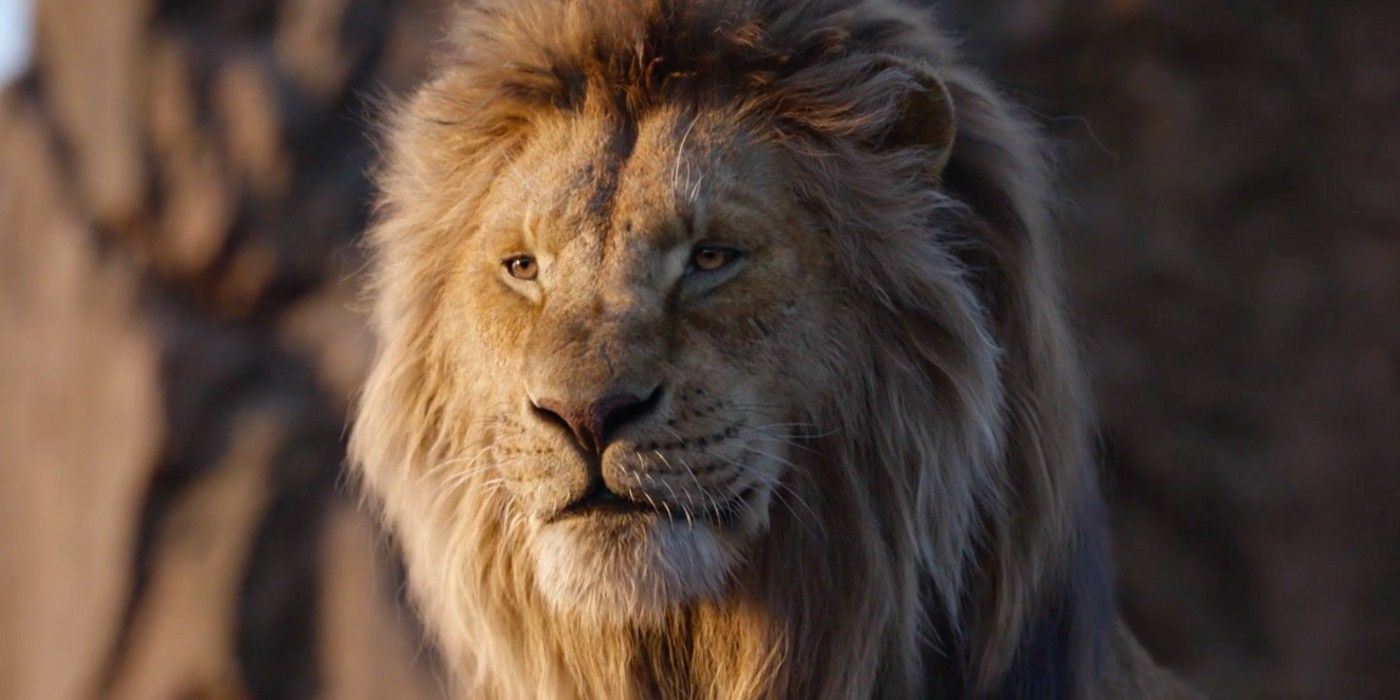 Mufasa Lion King