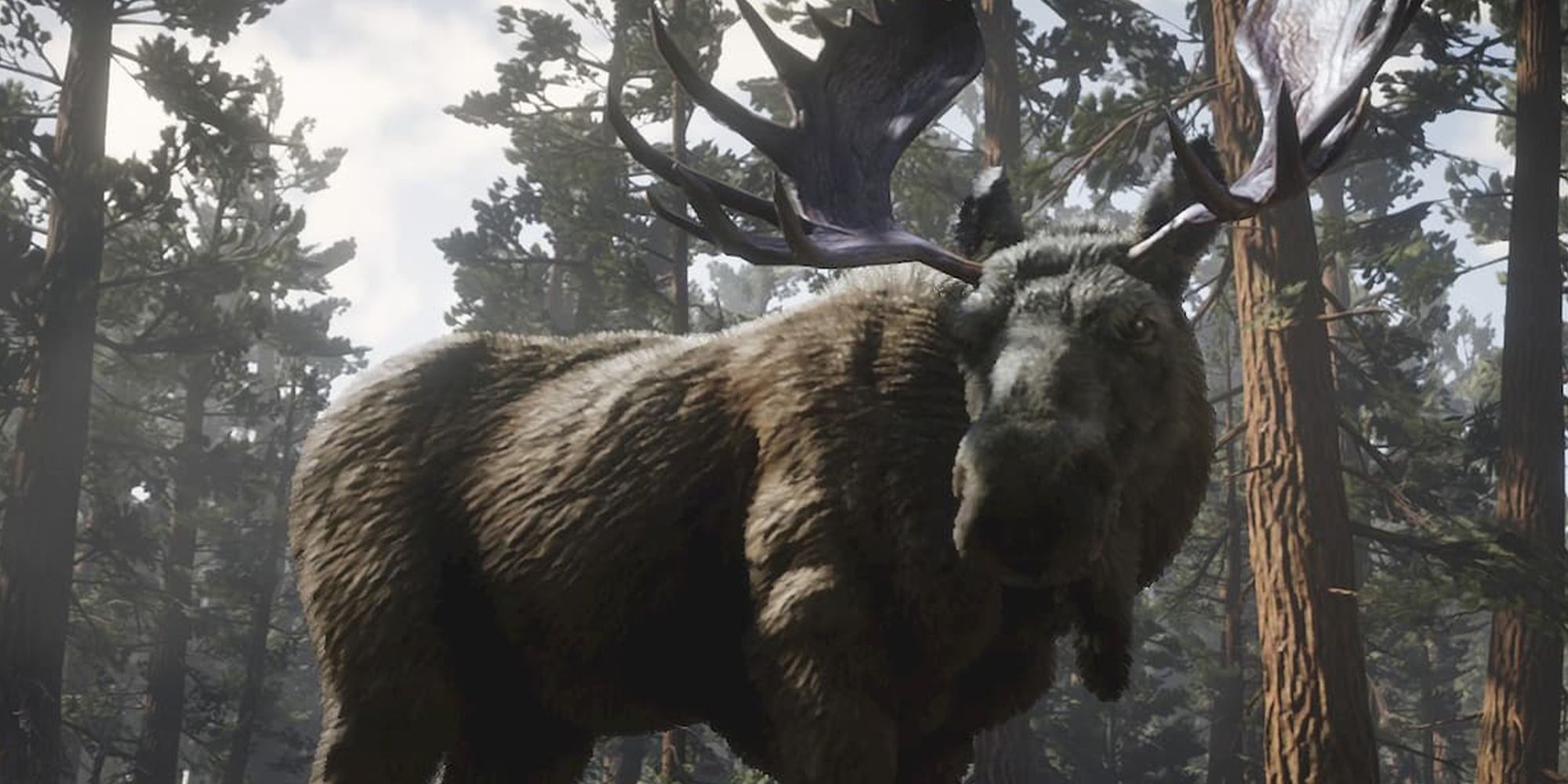 10 Red Dead Redemption 2 Animals That Are Way Too Hard To Hunt