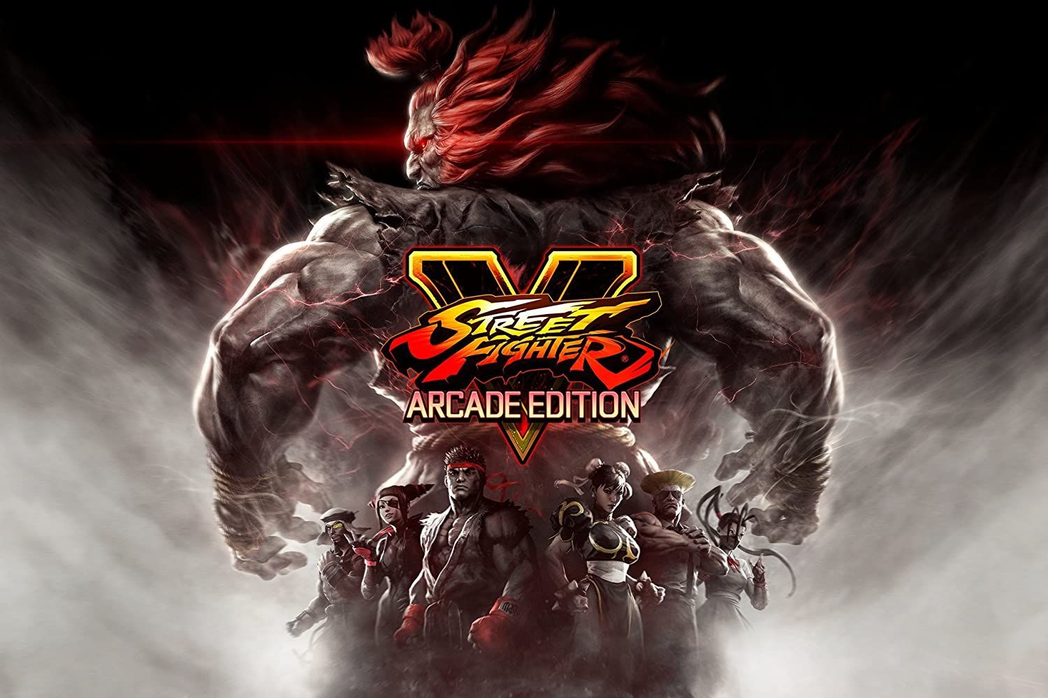 Street Fighter V Arcade b