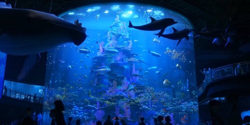 Finding Nemo Screen Rant Finding Dory: 5 Things It Got Right (& 5 It Got Wrong)