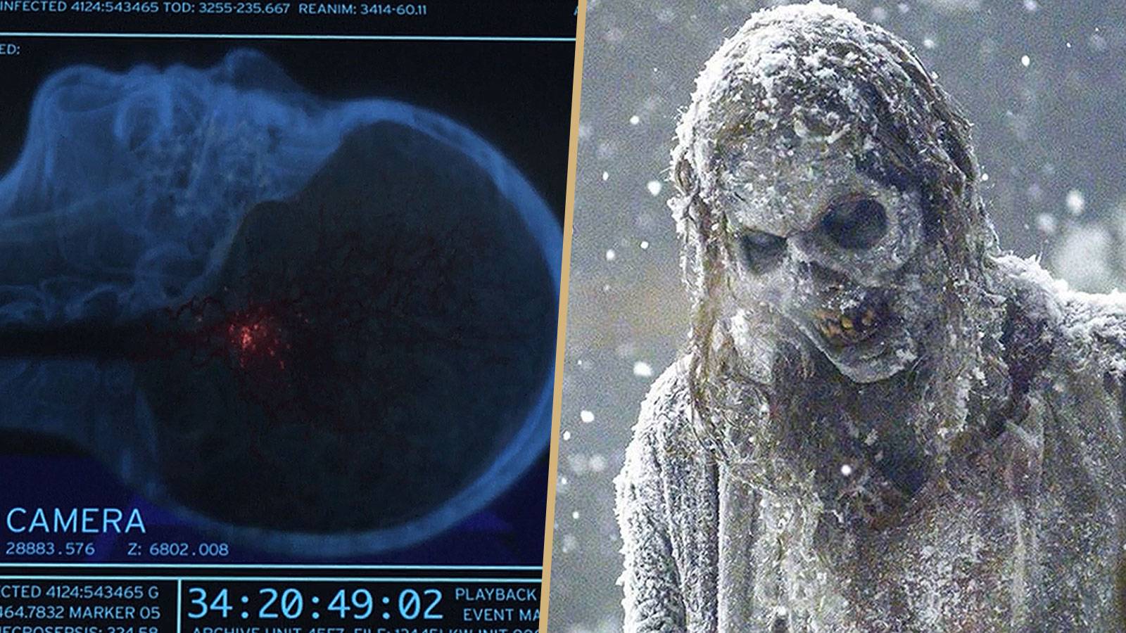 The Walking Dead: 10 Things About The Zombies That Don't Make Sense, image size:1600x900