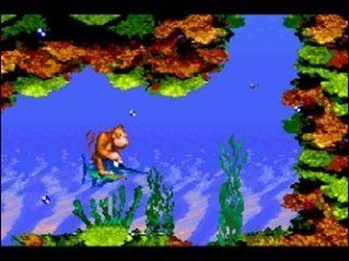 donkey kong 2