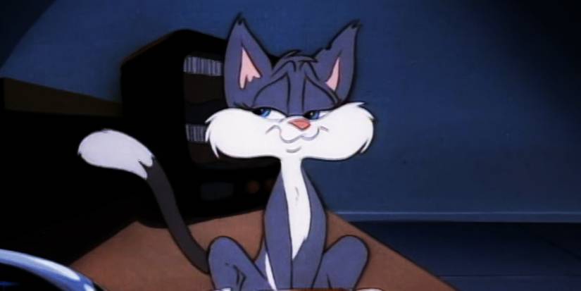 10 Most Intelligent Animaniacs Characters, Ranked Dumbest To Smartest