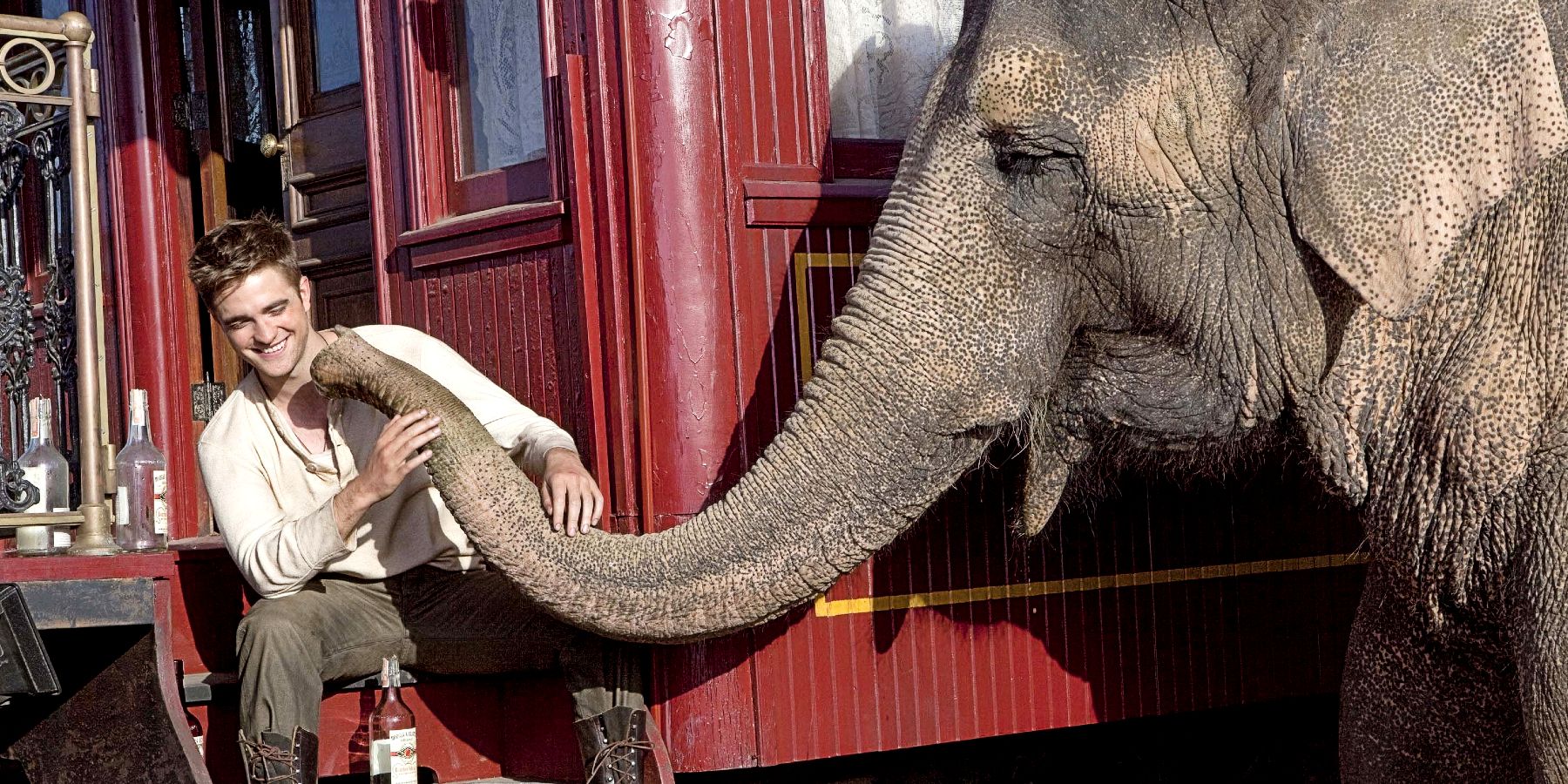 water for elephants