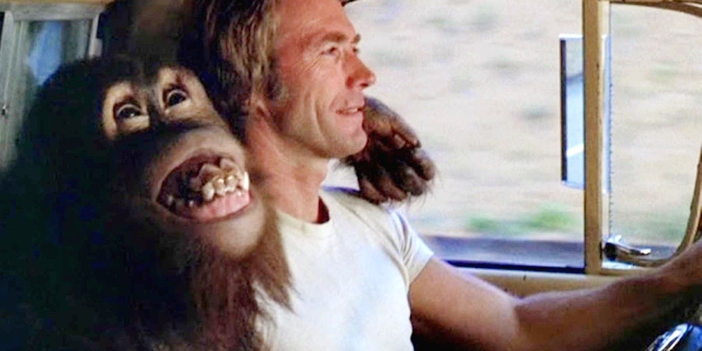 Clint Eastwood e o orangotango Clyde em Todo Jeito Que Pudermos.