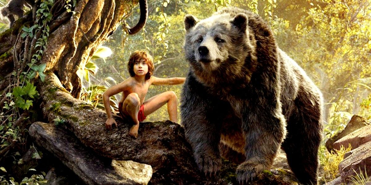 5 Best Animated Bears In Movies (& 5 Worst) Ranked By IMDb