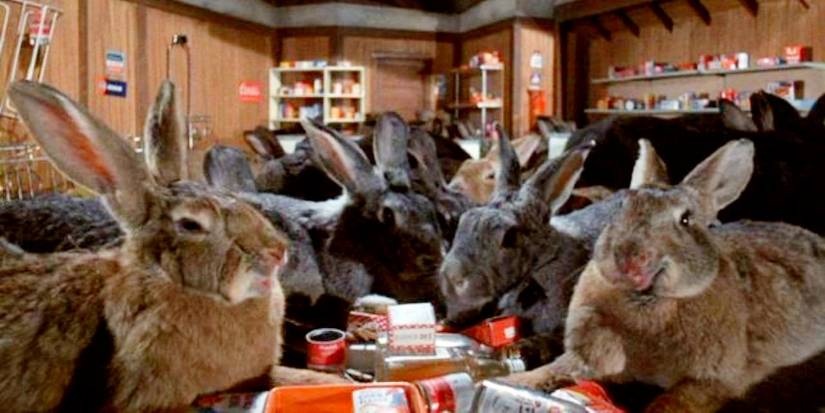 10 Weirdest Bunny Appearances In Movies