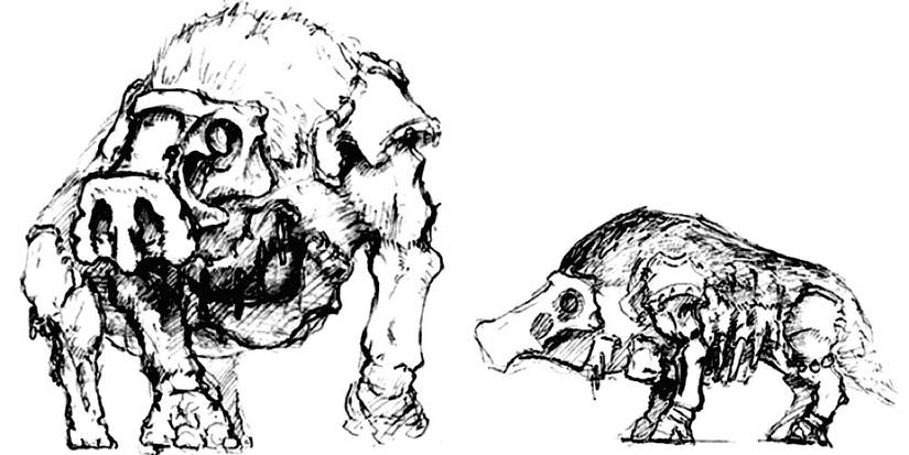 Shadow of the Colossus: 10 Pieces Of Concept Art You Have To See
