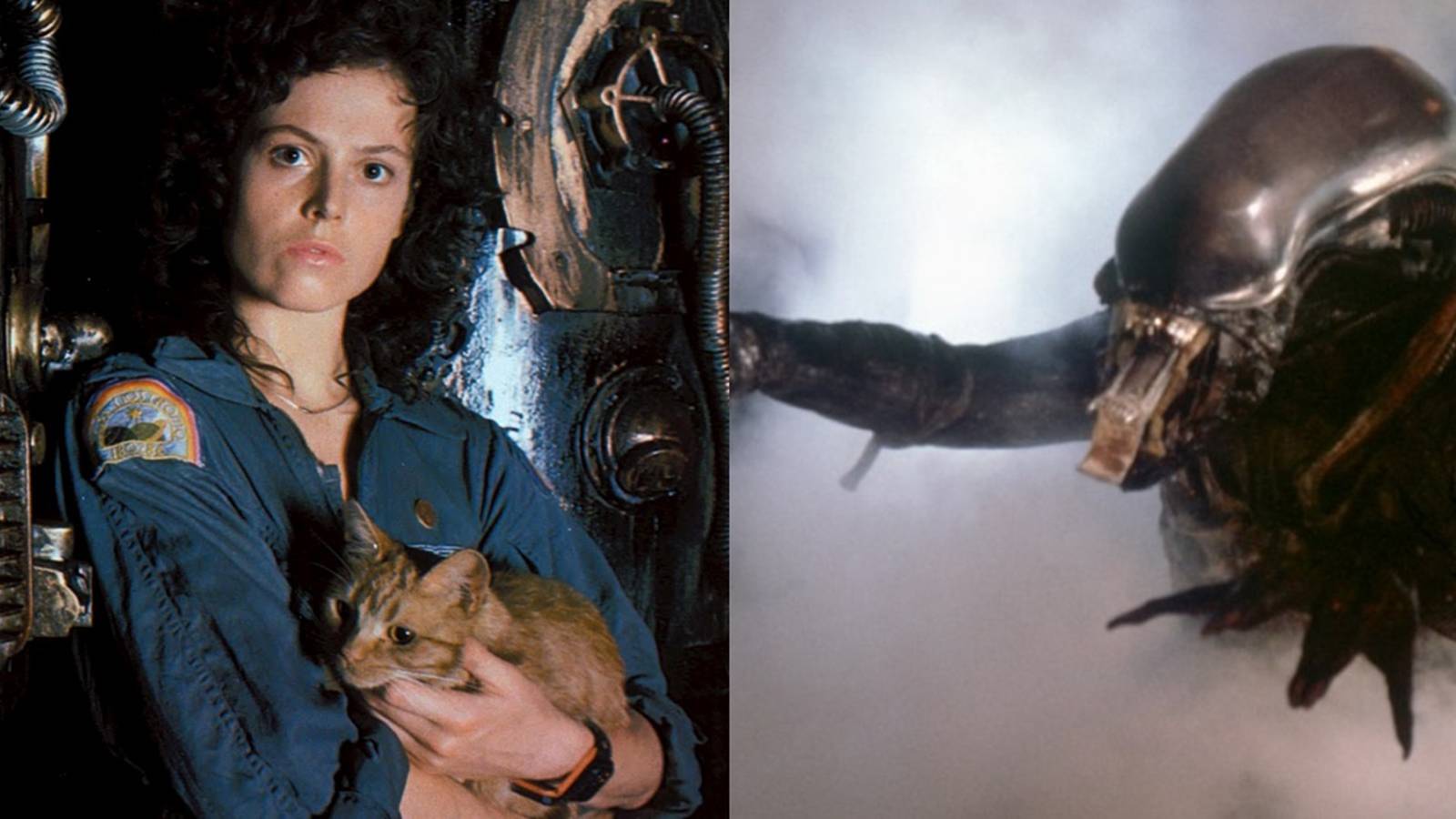 Alien: Why Ripley Is A Perfect Protagonist (& The Xenomorph Is A ...
