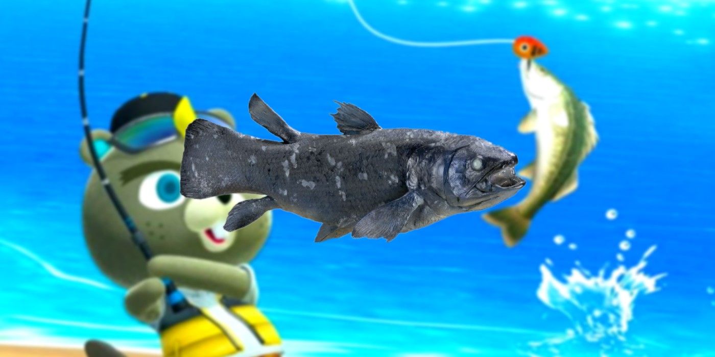 Rarest Fish In Acnh