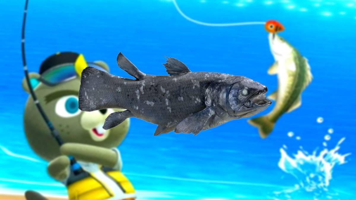 What Animal Crossing's Rarest Fish Look Like In Real Life What Animal Crossing's Rarest Fish Look Like In Real Life
