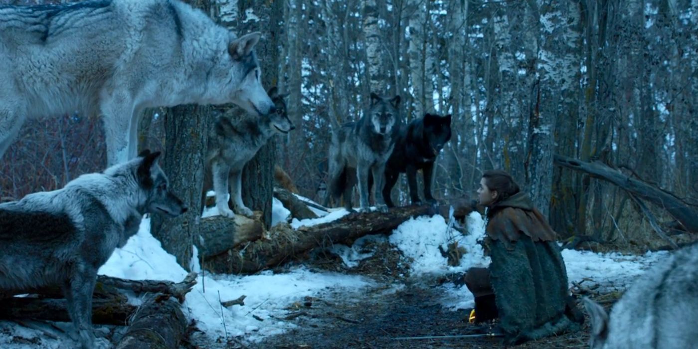 Arya se ajoelha na frente de Nymeria em Game of Thrones.