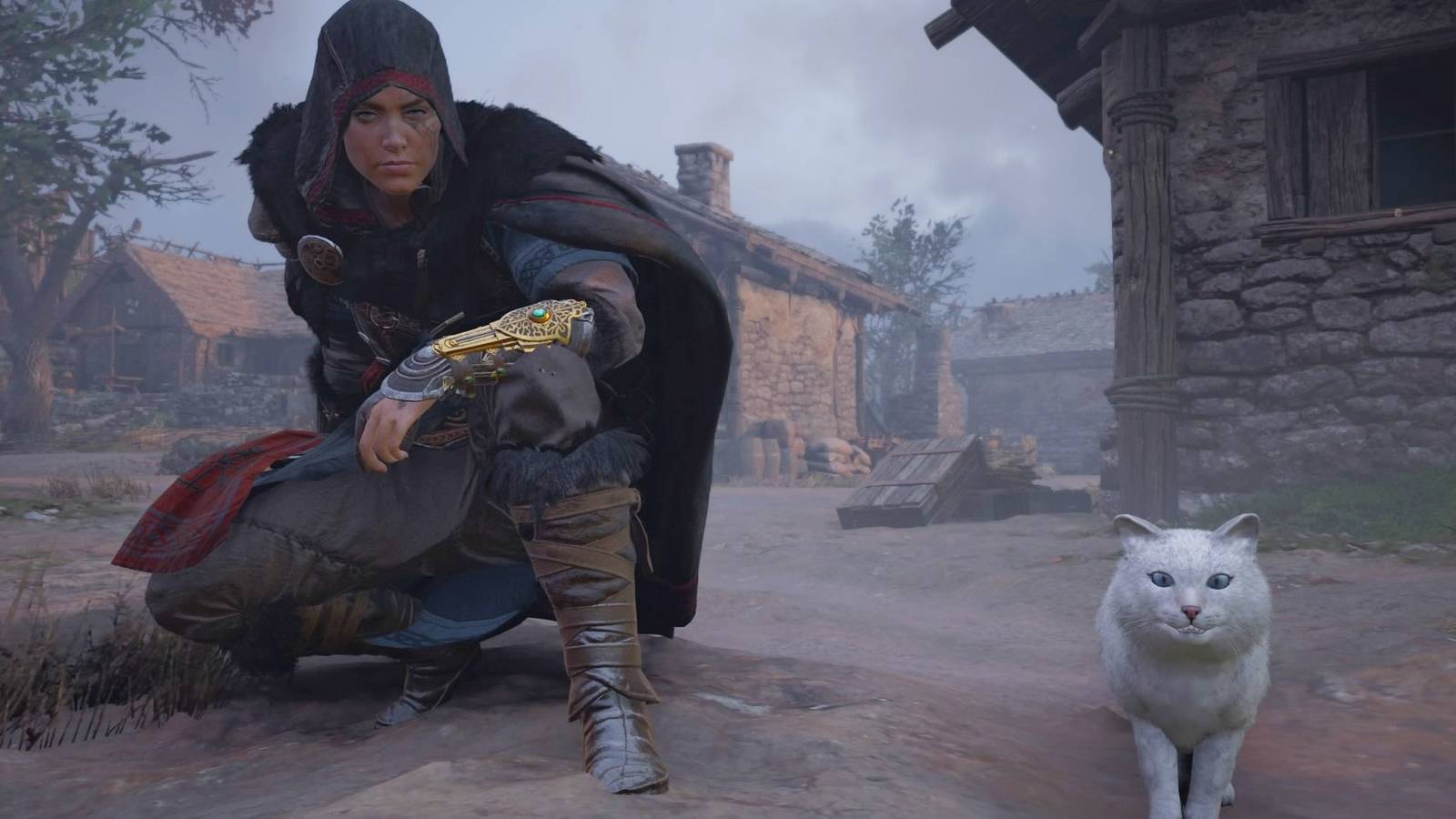 Where to Find The Secret Cat Companion in Assassin's Creed: Valhalla, image size:1600x900
