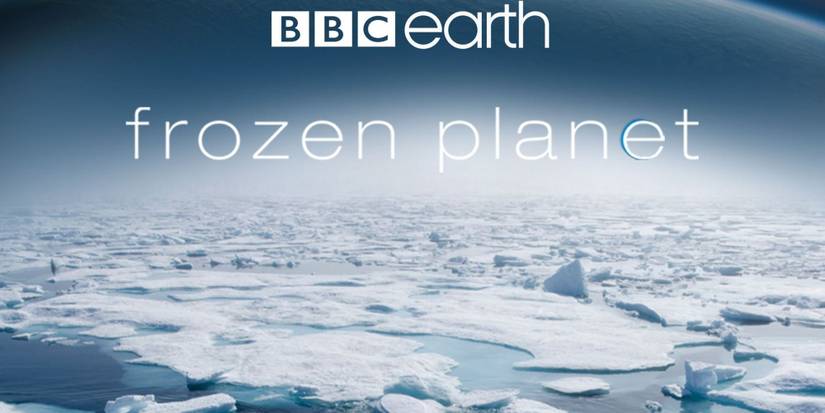 A Life On Our Planet: 10 Similarly Fascinating Documentaries To Watch