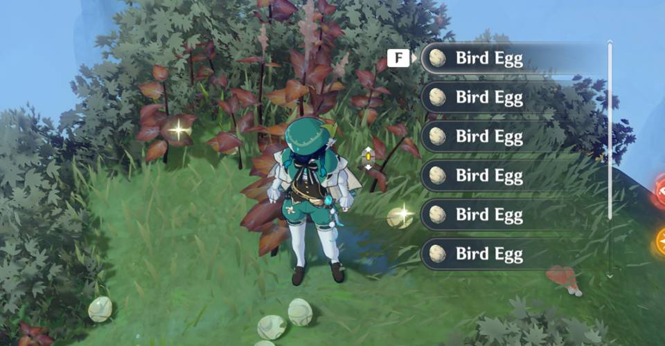 How To Get The Bird Egg Roblox