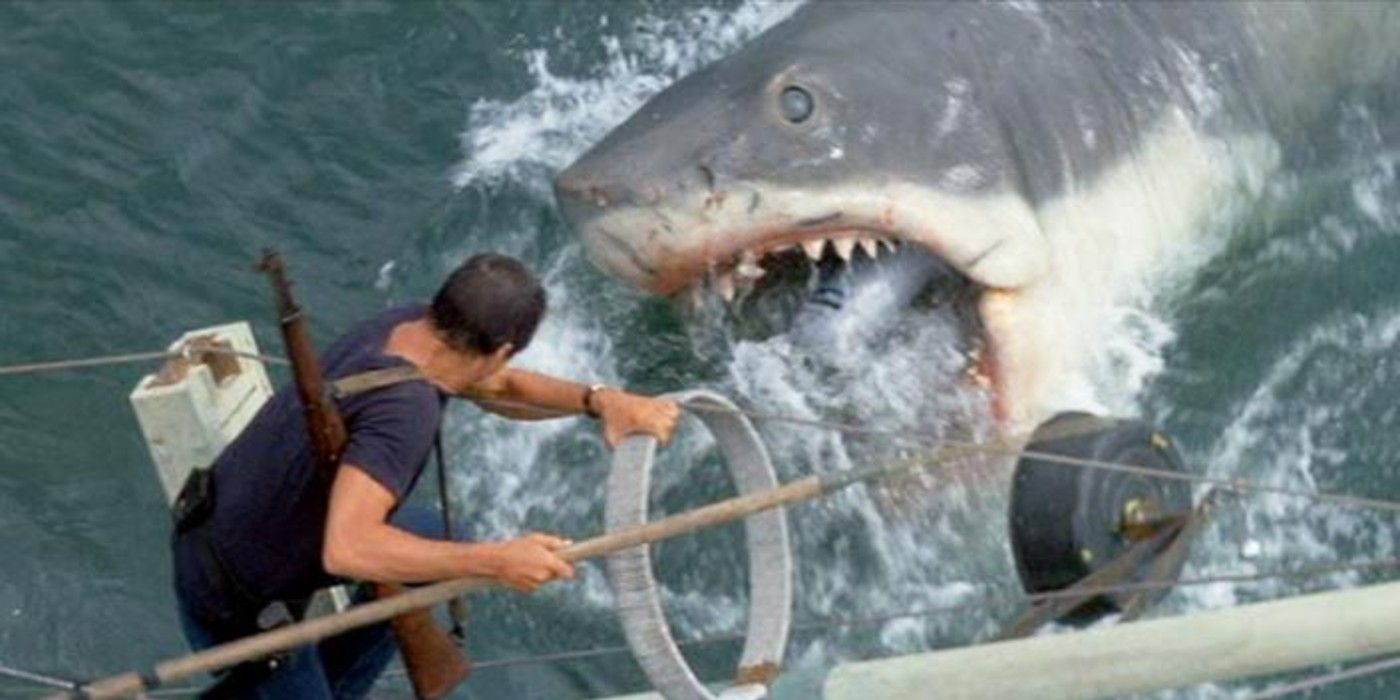 Jaws Ending Explained