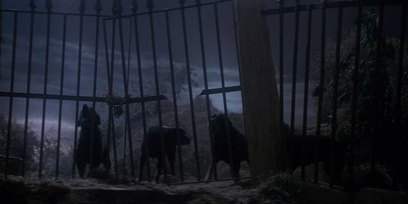 The 10 Scariest Dogs In Horror Movie History
