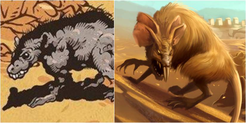 Target Womp Rats Star Wars: What Womp Rats Actually Look Like