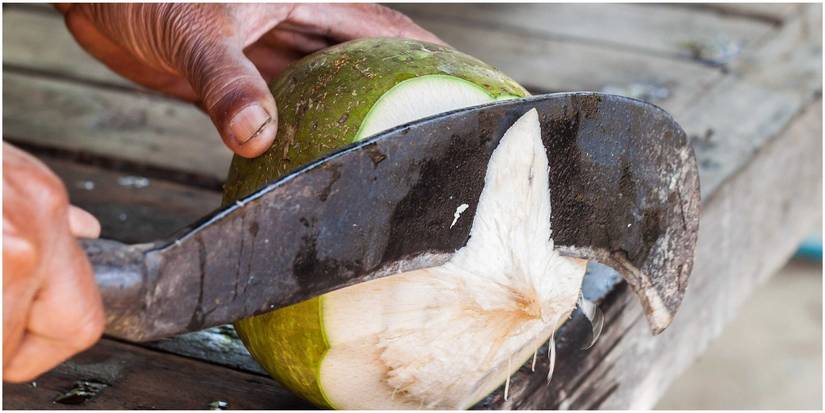 The Amazing Race: The 10 Most Dangerous Challenges, Ranked