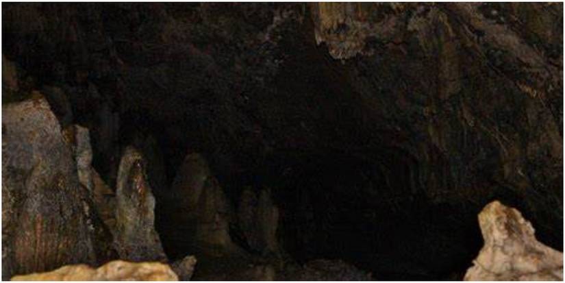 The Amazing Race: The 10 Most Dangerous Challenges, Ranked