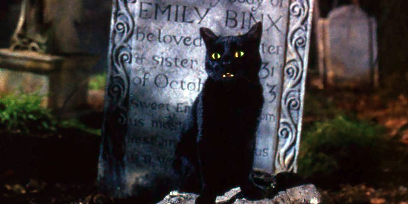 Thackery Binx sitting on a grave in Hocus Pocus