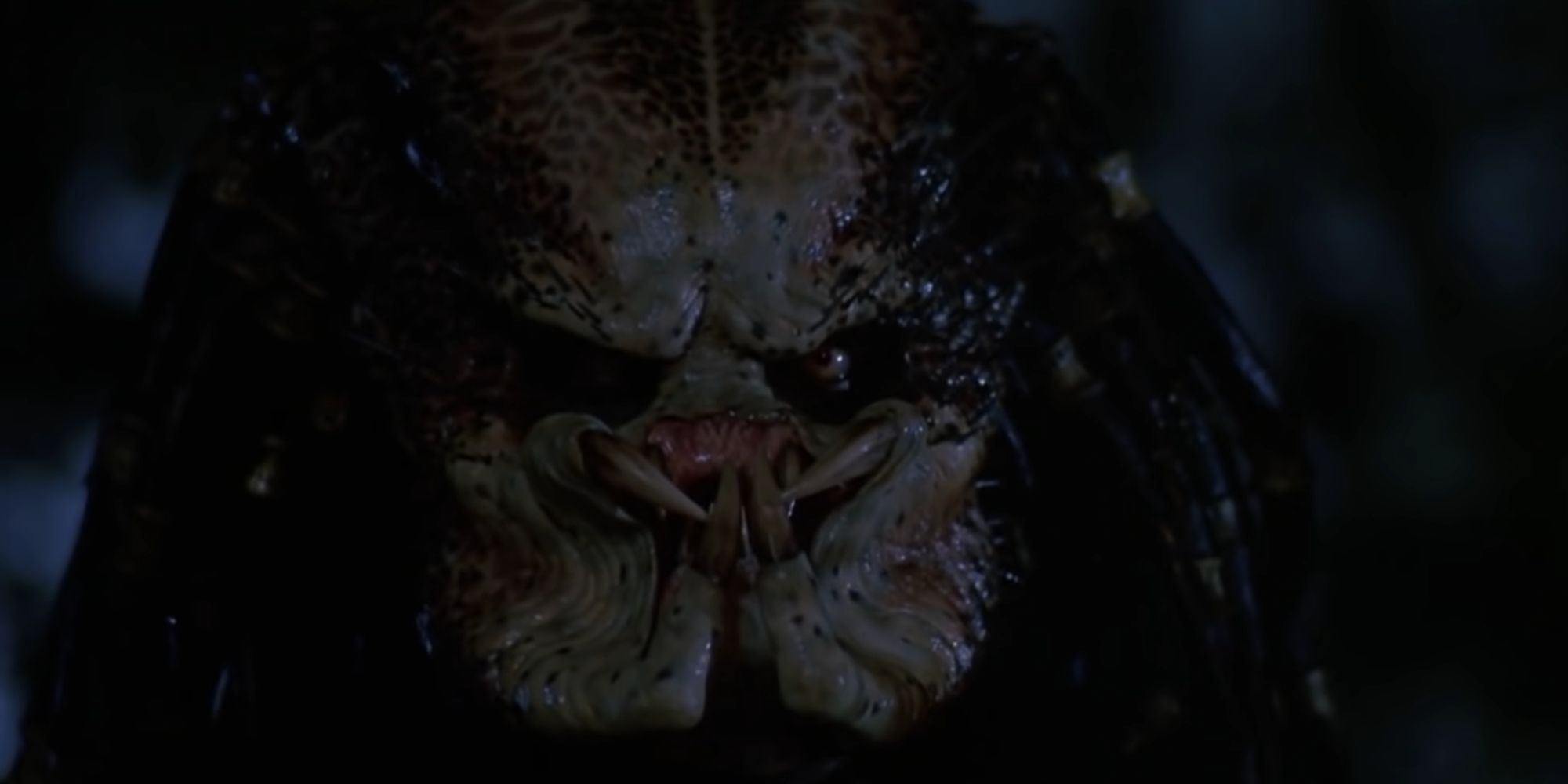 The 15 Most Badass Quotes From Predator