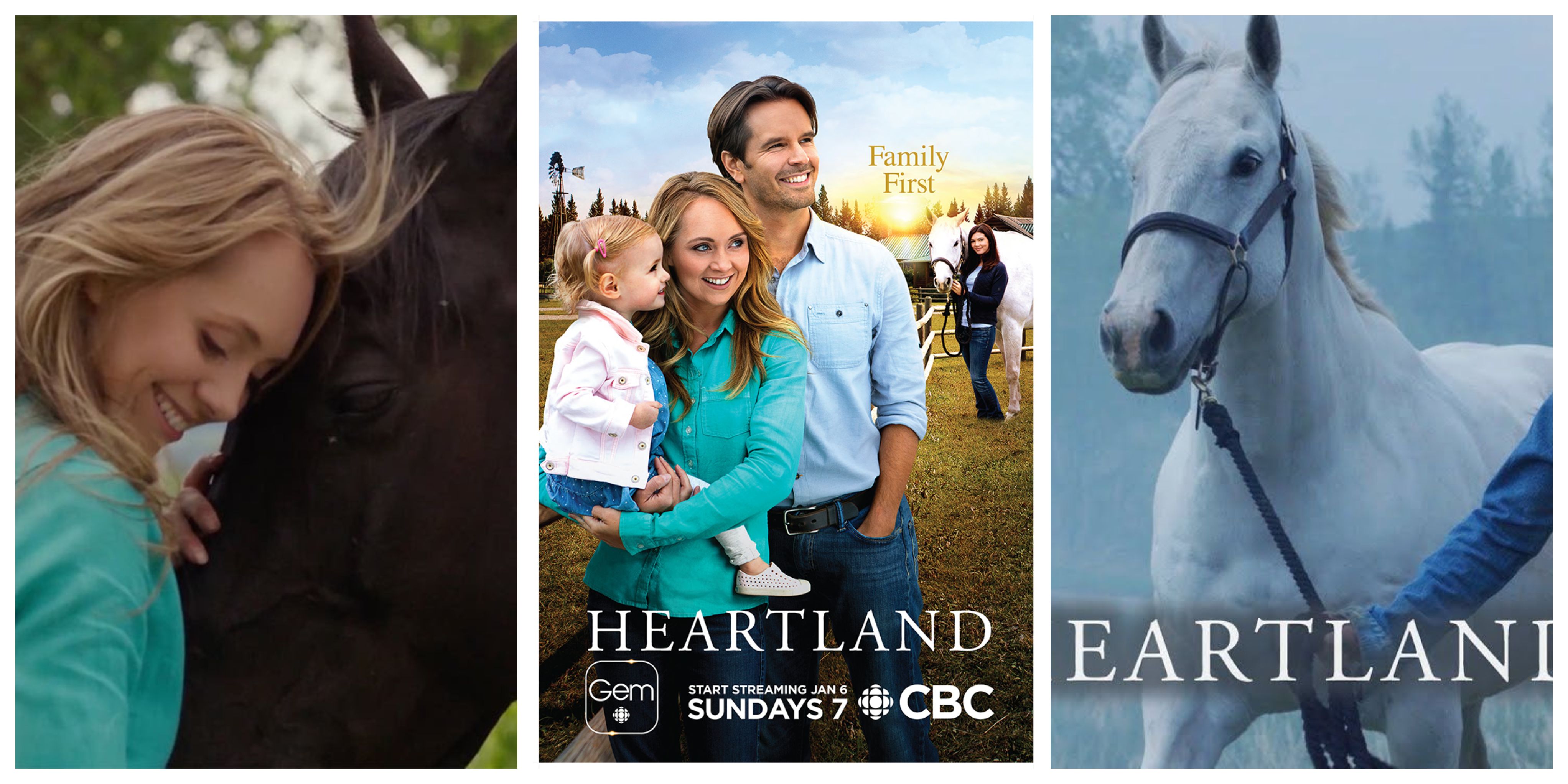 Where To Watch Heartland Online - Is It Streaming On Netflix, Amazon ...