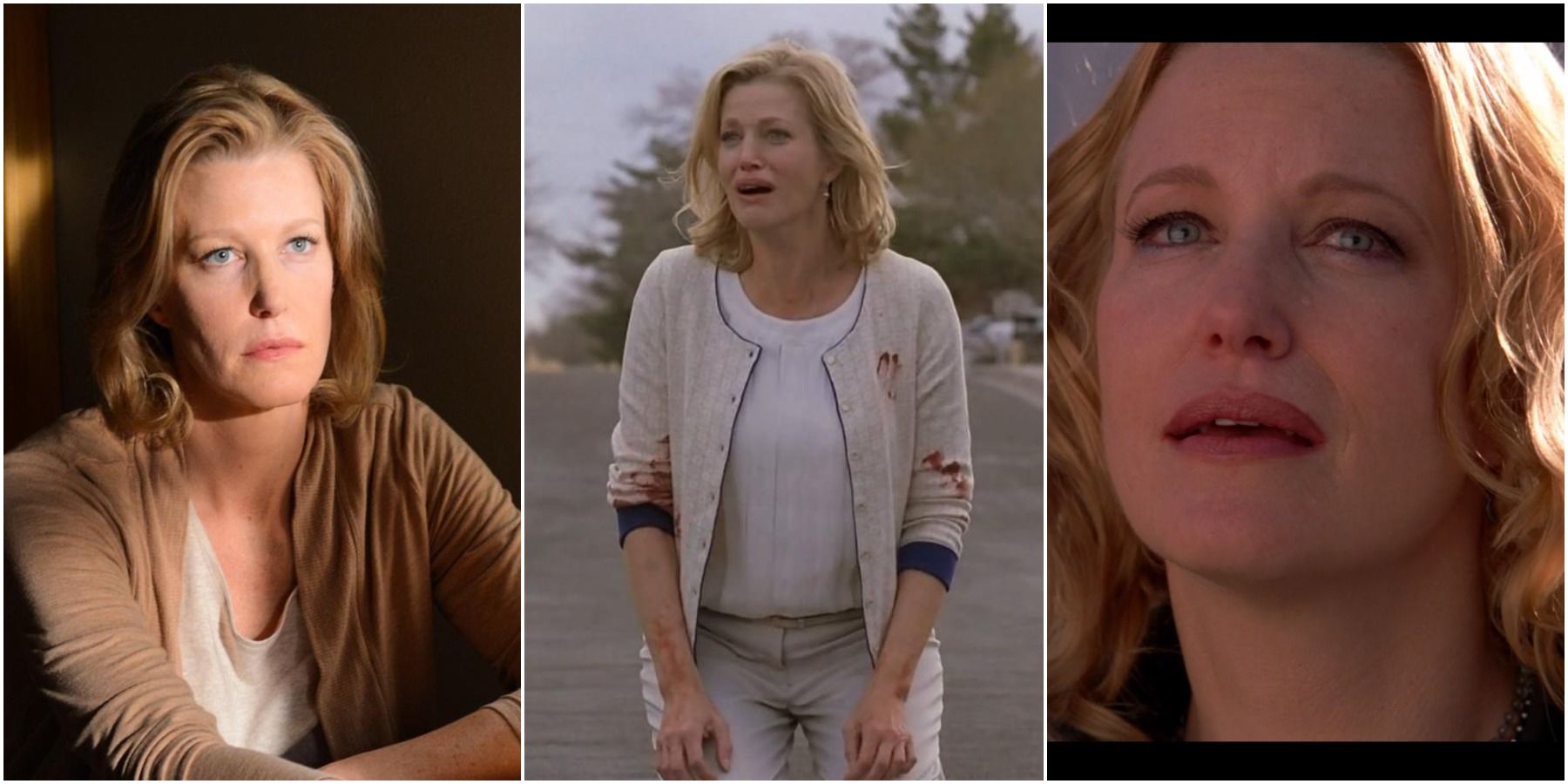 Breaking Bad: Skyler's 10 Most Memorable Quotes ScreenRant