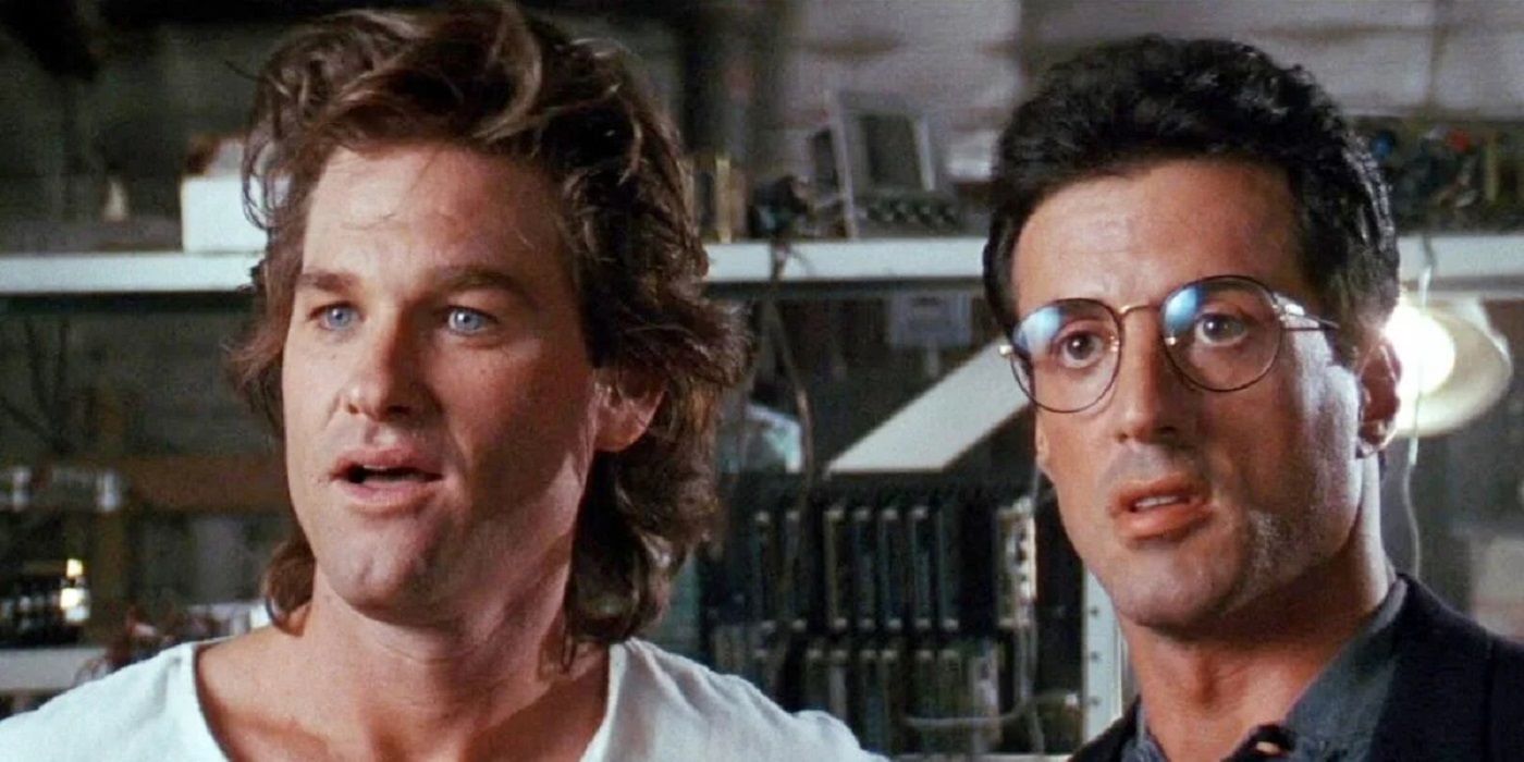 Tango and Cash looking at something